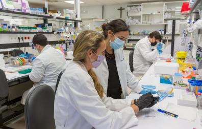 La Universidad de Navarra ha mejorado en docencia e investigación respecto de la edición anterior