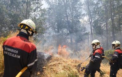 Tres bomberos trabajan en la extinción de un incendio registrado en junio de 2022 en la zona de El Perdón