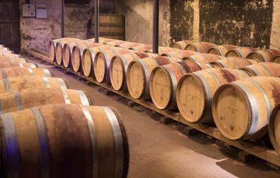 Barriles de vino en una bodega