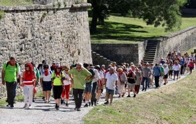 Fotos del Día del Camino de Santiago en Pamplona. /