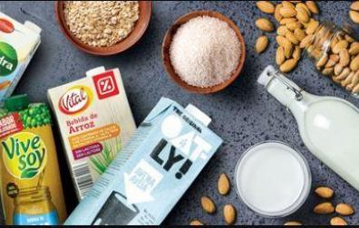 Distinto tipo de bebidas vegetales