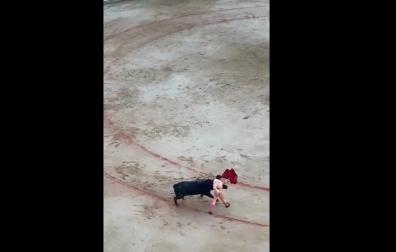 Al intentar rematar la tanda con un pase de pecho, el cuerno del toro se le ha enganchado en la taleguilla