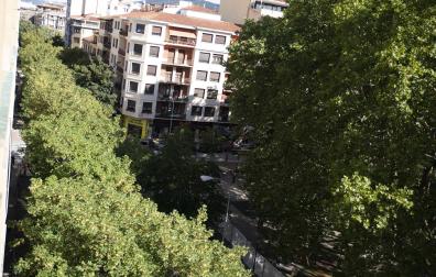 Vista de la calle Sangüesa desde un edificio de la plaza de la Cruz con algunos de los árboles que se talarán con el parking