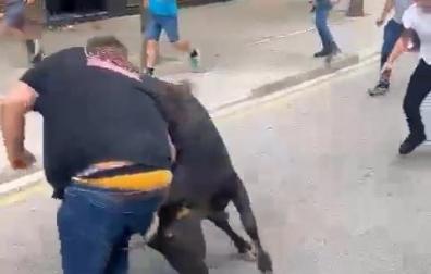 Maltrato a una vaquilla en el encierro de Estella