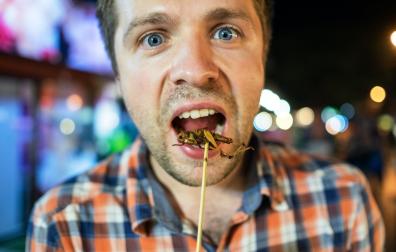 El aumento del consumo de insectos se debe, principalmente, a sus propiedades alimenticias ya que son ricos en proteínas, vitaminas (especialmente del grupo B) y minerales como sodio, potasio, fósforo y calcio