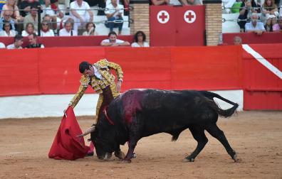 Imágenes de la corrida de San Miguel en las fiestas 2023 de Corella