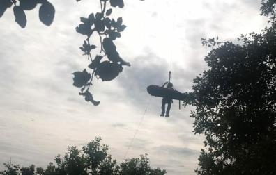 Momento en el que los Bomberos proceden al traslado de la mujer accidentada