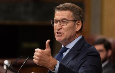 El líder del PP, Alberto Núñez Feijóo, durante su intervención en el Congreso de los Diputados