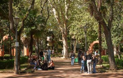 Fotos de la carpa de primavera 2024.