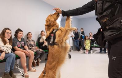 Uno de los perros de la Unidad Canina de la Policía Foral en una de las visitas al Hospital Universitario de Navarra (HUN)