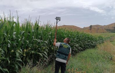 La Guardia Civil ha detenido a un joven por robar aspersores agrícolas en Puente la Reina, Legarda y Obanos