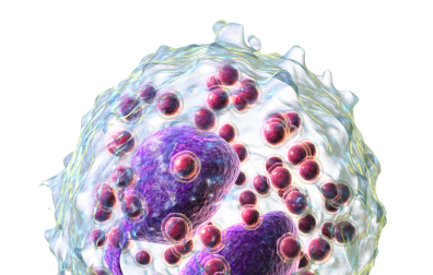 Representación artística de un eosinófilo.