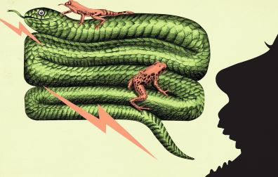 Radiografía de los insultos