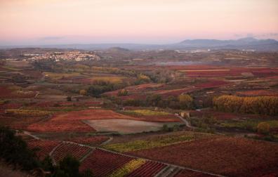 Paisaje de otoño en los viñedos de la Rioja Alta