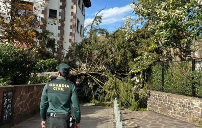 Un agente de la Guardia Civil, junto al árbol que ha caído