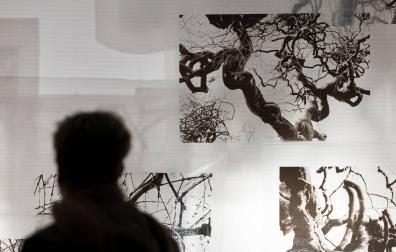 Un visitante en la exposición 'Umbra Arborum' en Sangüesa