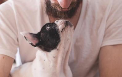 Un perro, junto a su dueño