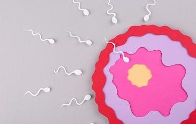 El estudio apunta a que en 2030 la diferencia será notable en la mayor parte de la población