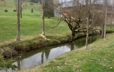 Un árbol roído en la orilla del río Elorz, a su paso por el campus de la Universidad de Navarra.