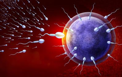 Las causas de la infertilidad son múltiples, y entre ellas se cuentan la edad; factores ambientales como el estrés, la contaminación, el consumo sustancias tóxicas o la depresión; o las infecciones de transmisión sexual