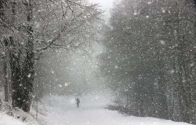 Fotos de la nieve en el Pirineo Navarro