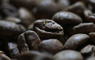 Granos de café ya tostados /