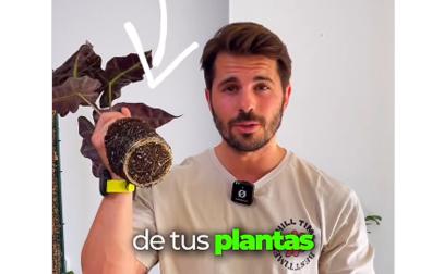 Álvaro Pedrera