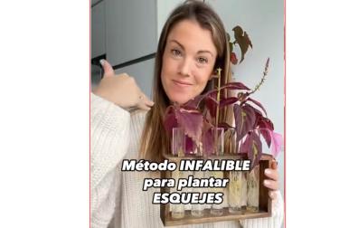 Natalia Sáez explica las claves para plantar con éxito los esquejes