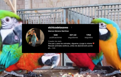 Imagen de los ejemplares del influencer navarro