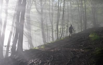 Un aficionado, asciende una pendiente por una zona boscosa de la sierra de Urbasa