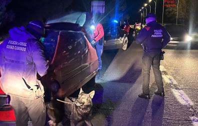 Control de Seguridad Ciudadana en San Adrián.