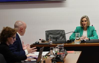 La directora de Excavaciones Osés, Noemí Osés Lana, este miércoles en la comisión de investigación del Parlamento