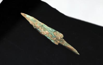 Fotos del esqueleto del bisonte de hace 4.000 años hallado en Urbasa