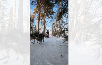 Se prepara para los duros 600 kilómetros de la Finnmarkslopet noruega, cita en la que hace 3 años se quedó a 49 kilómetros de acabar