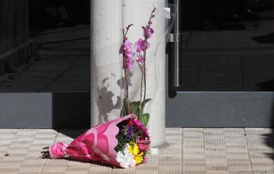 Varias plantas en el portal de la vivienda de Sarriguren donde ha muerto una mujer asesinada presuntamente por su marido, en un caso de violencia machista