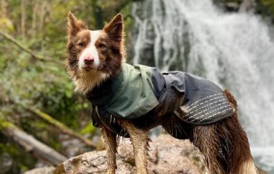 La cascada de Xorroxin es una excursión ideal para realizar junto a tu mascota. En la foto, Maui (una de las peludas protagonistas del reportaje de Conocer Navarra) posa orgullosa tras completar la ruta