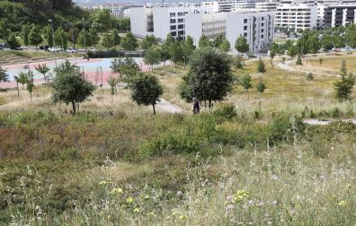 Parque de las Pioneras de Lezkairu