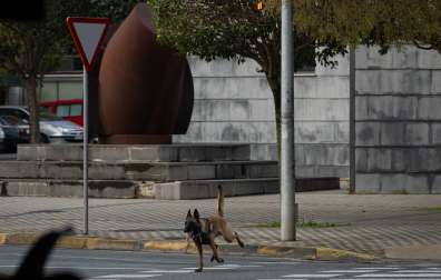 Efectivos policiales de Policía Nacional, Policía Foral y Policía Municipal han trabajado en la zona para comprobar si se trataba o no de una falsa alarma, empleando para ello perros especializados