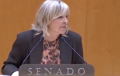 María Caballero, en su intervención este miércoles en el Senado