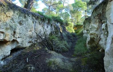 Un sorprendente barranco esculpido es uno de los atractivos de esta ruta por Falces
