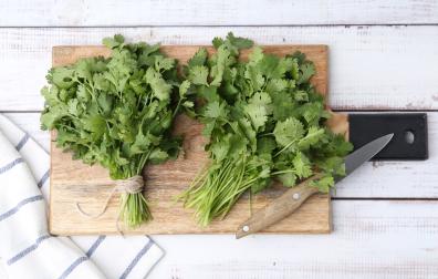El rechazo al cilantro también tendría una explicación evolutiva según la nutricionista