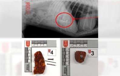 Foto del cebo con los clavos y un tornillo.