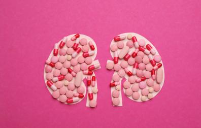 Paper cutout of kidneys with pills on magenta background, top view