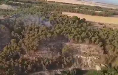 Foto realizada desde el helicóptero del incendio de un pinar en Lerín