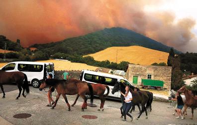 19.00 HORAS Voluntarios evacuan a más de una veintena de caballos del Centro Ecuestre Izadi. En el centro, Nahiara Abárzuza: “Los hemos dejado en un parque del pueblo”.