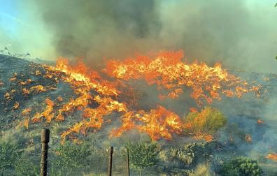 Fotos del incendio forestal de Los Gallardos, en Almería