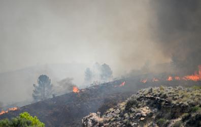 Fotos del incendio forestal de Los Gallardos, en Almería