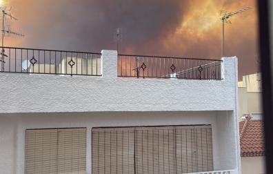 Fotos del incendio forestal de Los Gallardos, en Almería