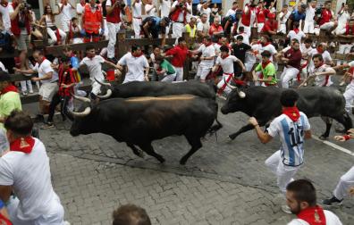 Séptimo encierro de San Fermín con toros de Miura en la curva de Telefónica.