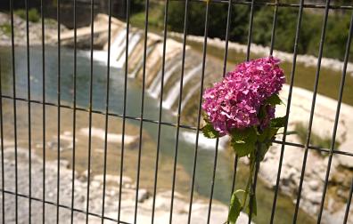 Flores en la presa de Roncal en el río Esca donde se produjeron los ahogamientos